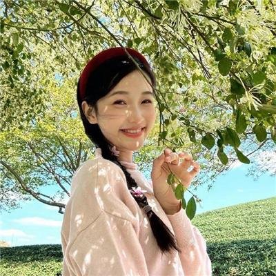 虚假的借口